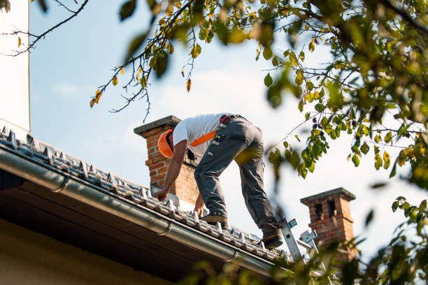 Best Storm Damage Roof Repair  in Shelburn, IN