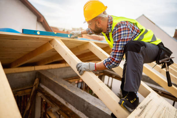 Best Roof Maintenance Services  in Shelburn, IN